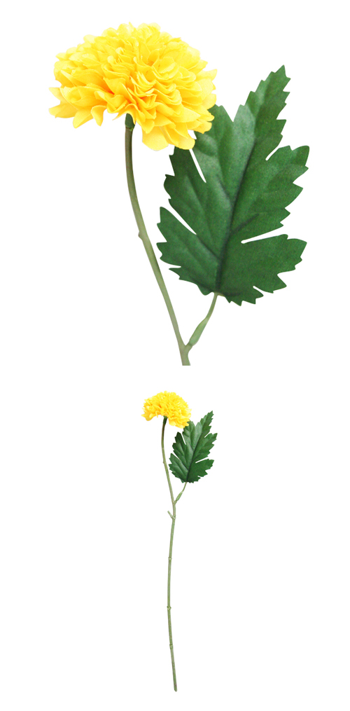 �����䢣POY�ԥ�ݥ�ޥ।������POY62809