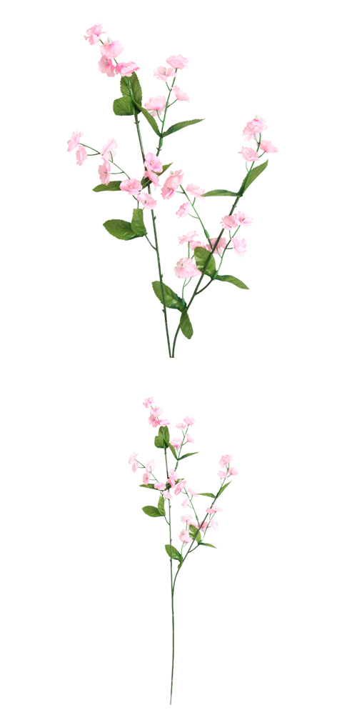 �����䢣POY�凉��ʥ��� �ԥ�  POY63581