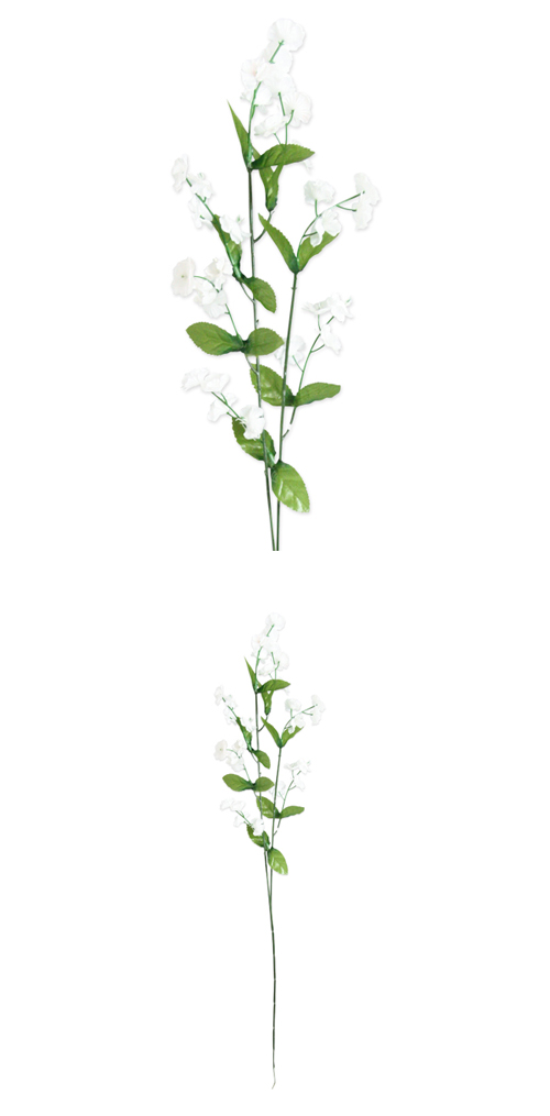 �����䢣POY�凉��ʥ��� �ۥ磻��POY63582