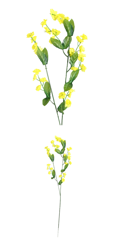 �����䢣POY�凉��ʥ��� ��������POY63583