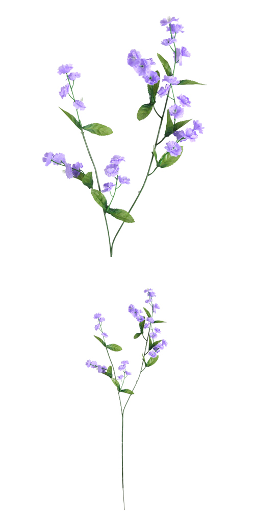 �����䢣POY�凉��ʥ��� ��٥����POY63584