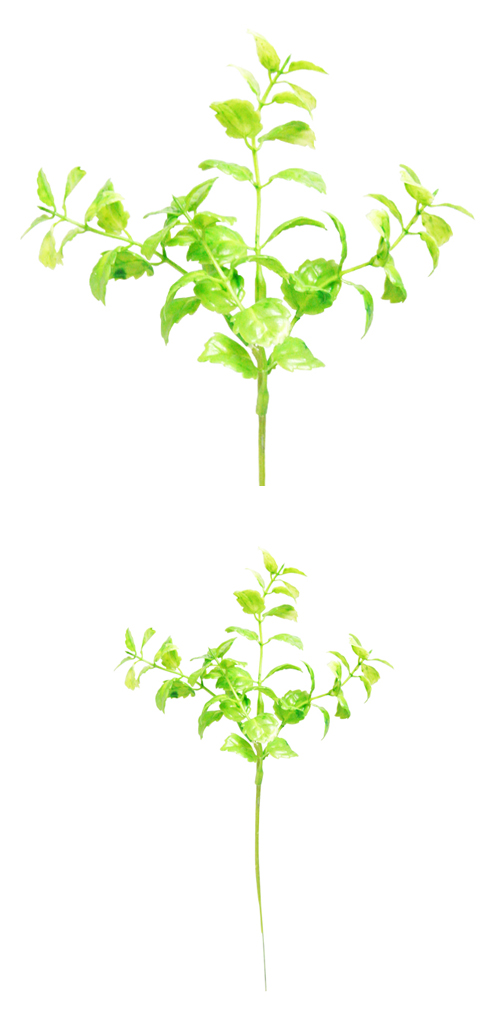 �����䢣POY����꡼�եԥå�POY63780