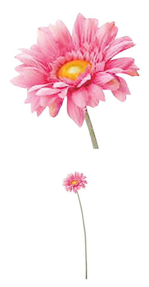 �����䢣���󥰥륬���٥顡�ӥ塼�ƥ���POY98103