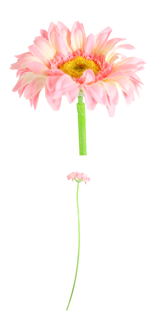 �����䢣POY�ե�å���ߥ˥����٥� �ԥ�POY98157