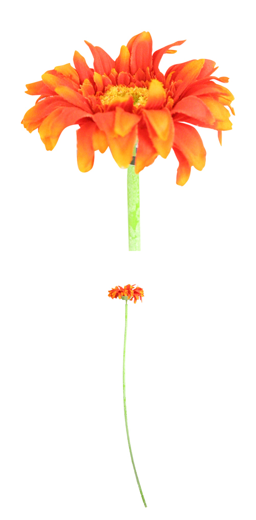 �����䢣POY�ե�å���ߥ˥����٥� �����POY98159