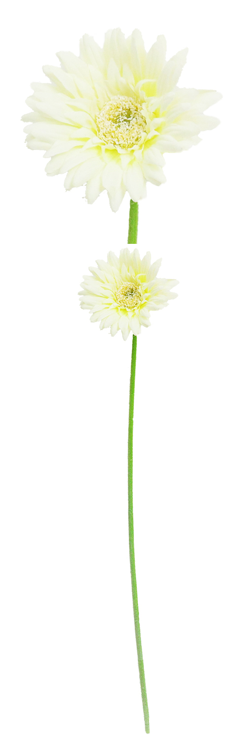 󥰥륬٥顡FA-6624WPOY98586