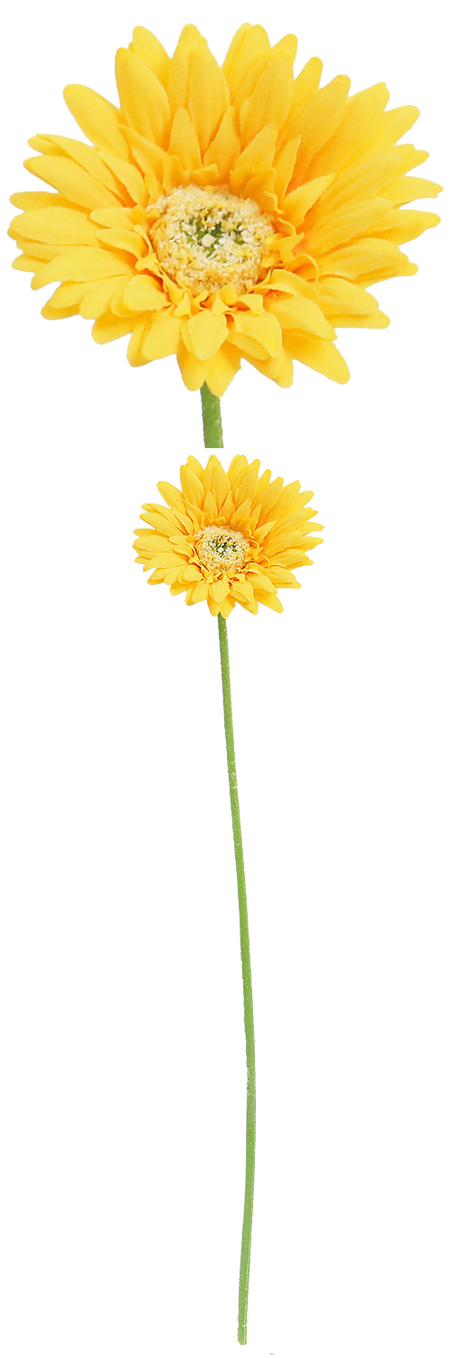 󥰥륬٥顡FA-6624YPOY98587