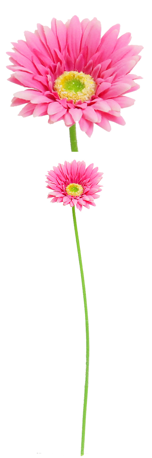 󥰥륬٥顡FA-6624PPOY98588