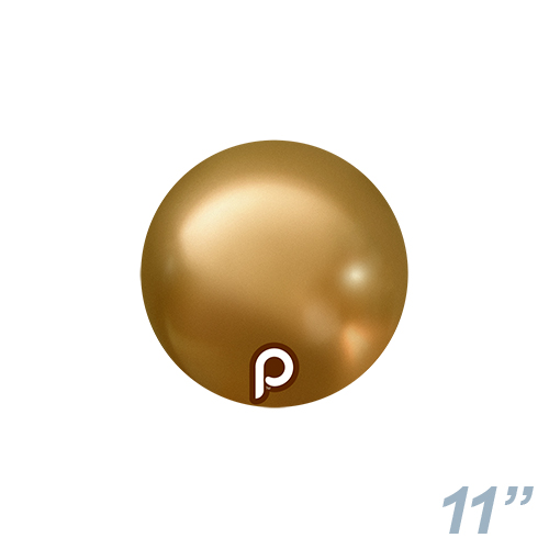 䢣PM11 ॴ PRM60337