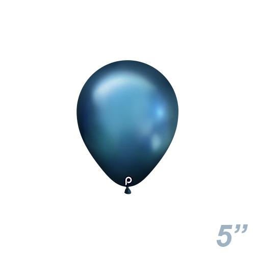 䢣PM5 ֥롼 PRM60569