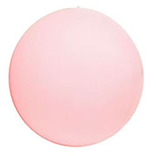 20" 4/B ܥȥV  ѥƥԥ󥯡SAG02581