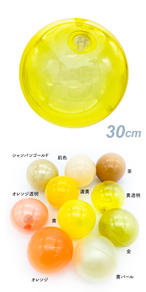 ǥХ롼30cm ƩSAGD6503