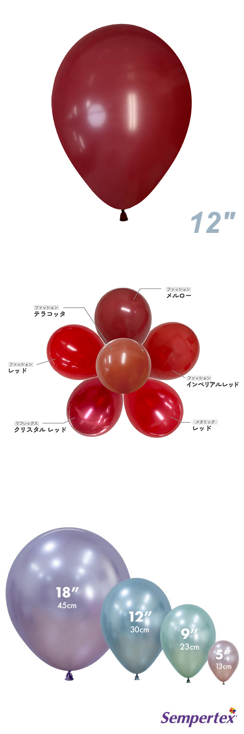 SM12(30cm)ݷ եå  SEM10177