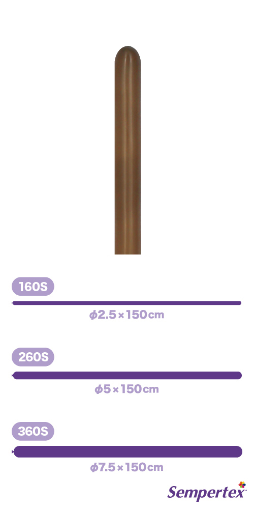 SM160S եå ҡ SEM10181