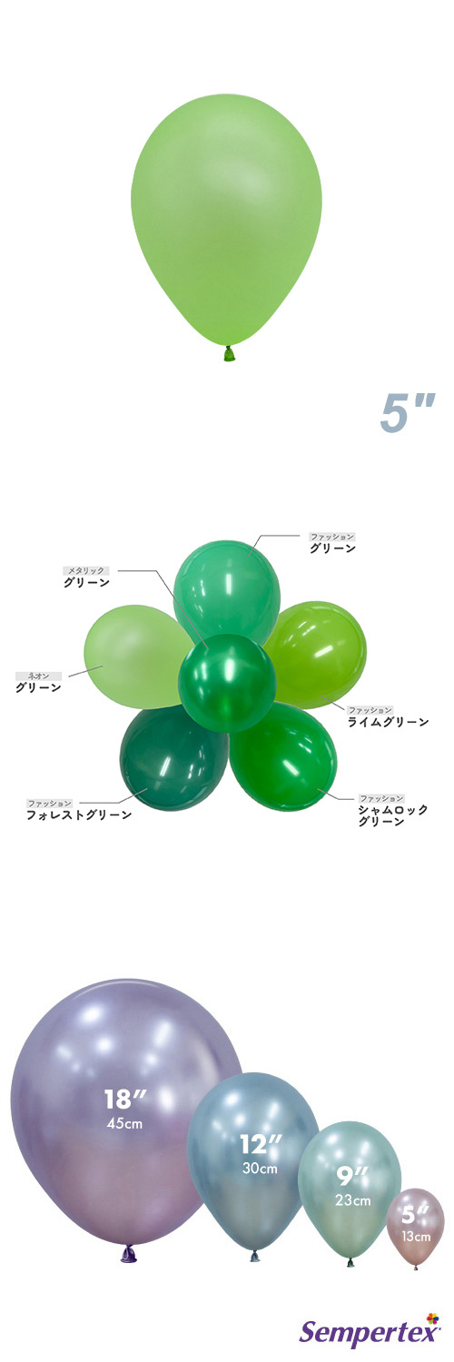 SM5�����(13cm)�ݷ� �ͥ��� ���꡼�� SEM12864