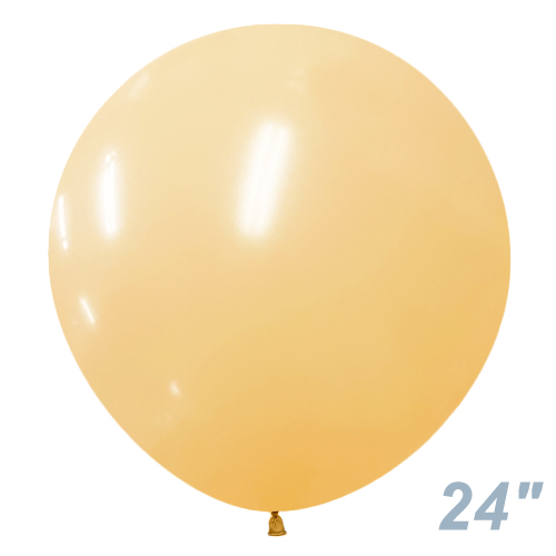 SM24�����(60�����)�ݷ� �ե��å���� �ԡ����֥�å��� SEM15189