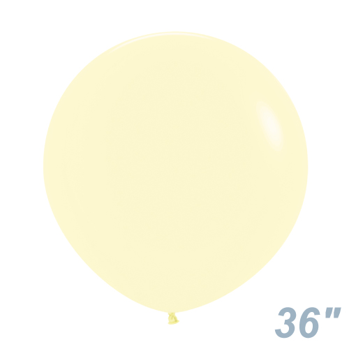 SM36(91cm)ݷ ѥƥޥå  SEM15513