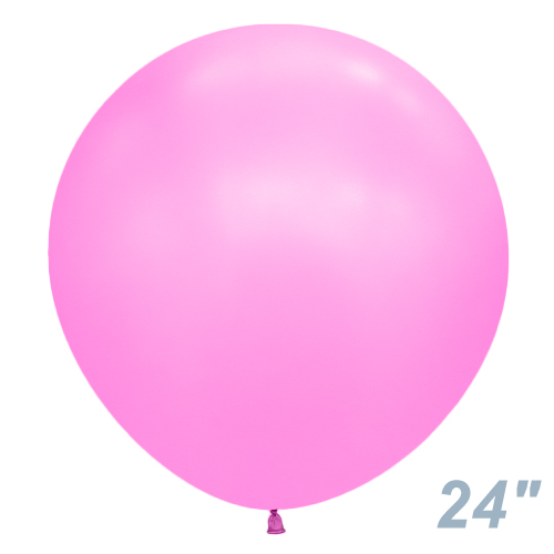 SM24�����(60�����)�ݷ� �ͥ��� �ե塼���� SEM16118