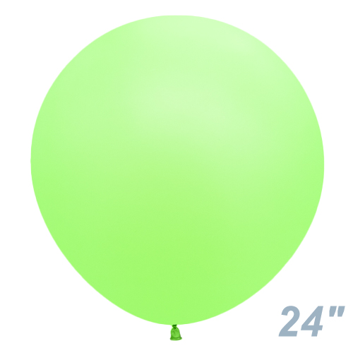 SM24�����(60�����)�ݷ� �ͥ��� ���꡼�� SEM16122