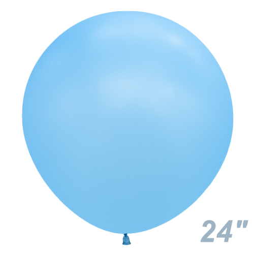 SM24�����(60�����)�ݷ� �ͥ��� �֥롼 SEM16124