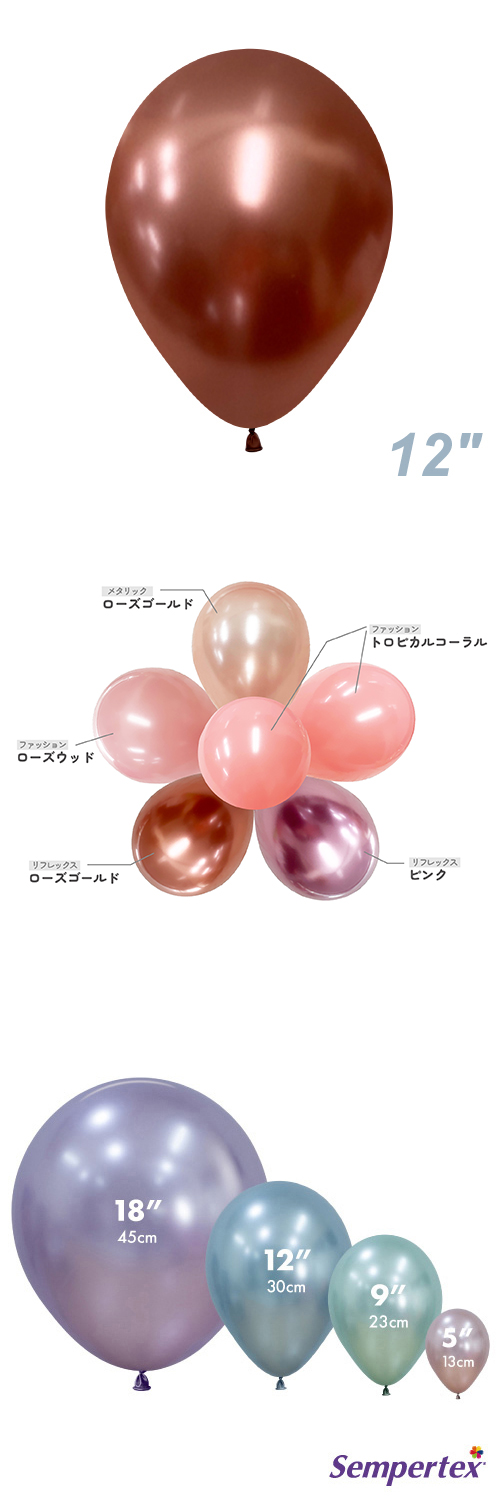 SM12(30cm)ݷ եå  SEM16967