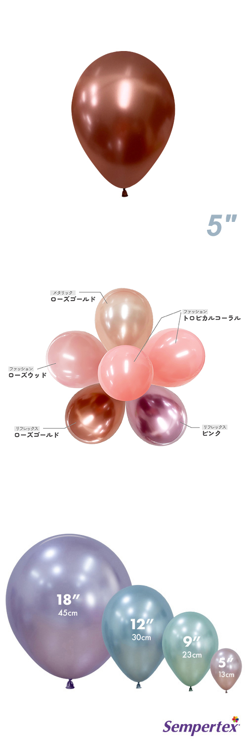 SM5(13cm)ݷ եå  SEM16987