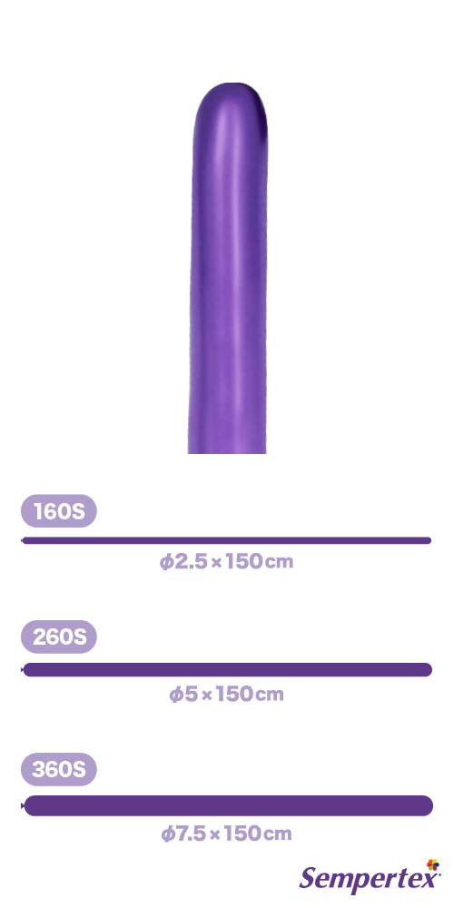 SM260S ��ե�å��� �Х�����å� SEM17009