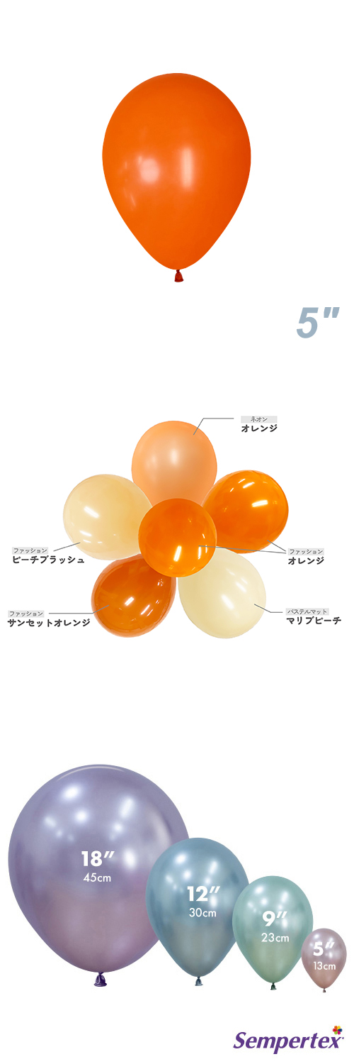 SM5�����(13cm)�ݷ� �ե��å���� ����� SEM20137