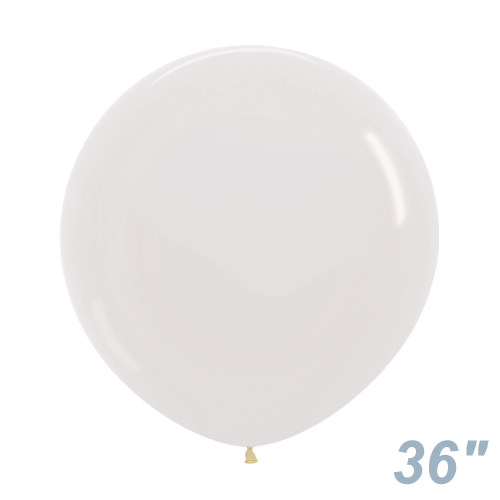 SM36(91cm)ݷ ꥹ ꥢ SEM37110