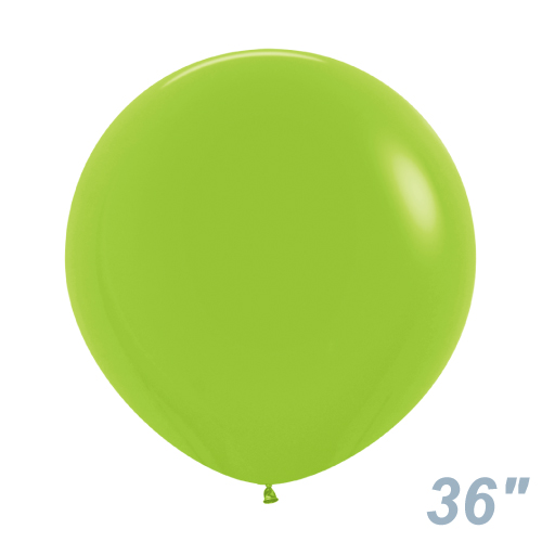 SM36�����(91cm)�ݷ� �ե��å���� �饤�॰�꡼�� SEM37260