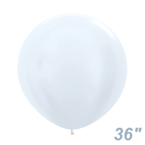 SM36(91cm)ݷ ƥ ۥ磻 SEM37611