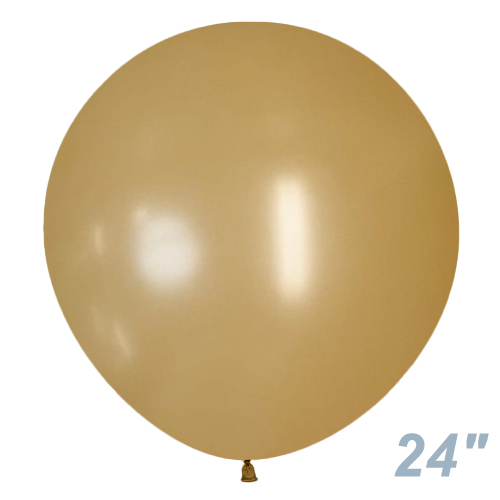 SM24�����(60�����)�ݷ� �ե��å���� ��� SEM38695