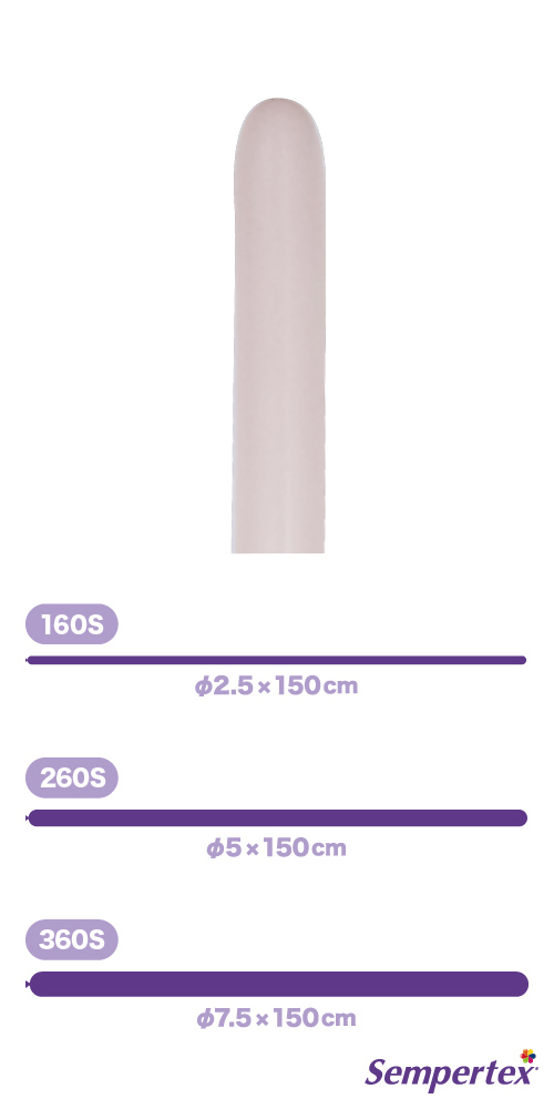 SM260S ѥƥ  SEM39536