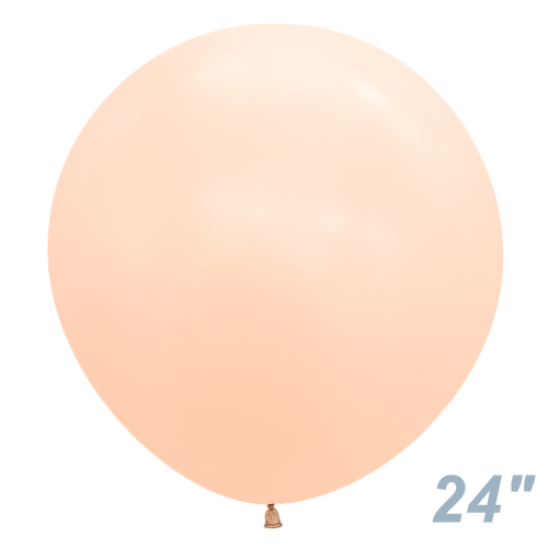 SM24(60)ݷ ѥƥޥå  SEM39599