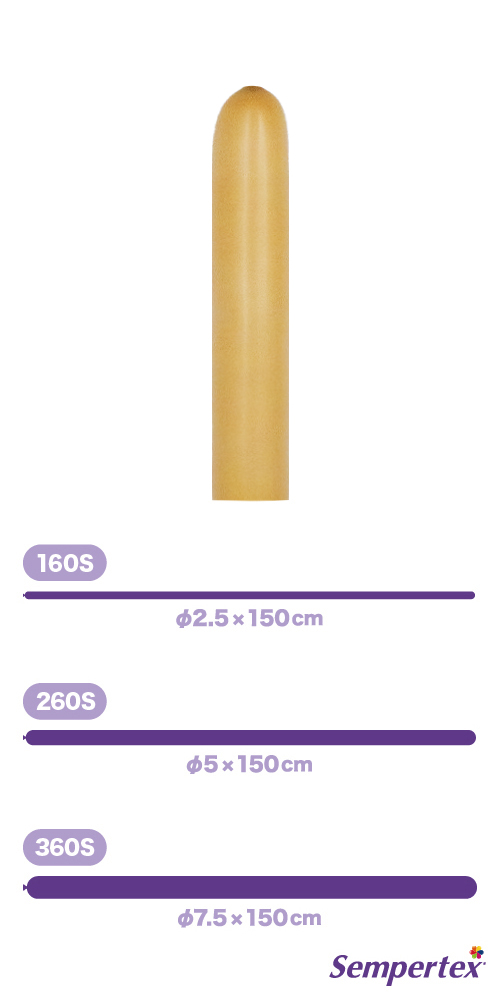 SM260S եå  SEM40009