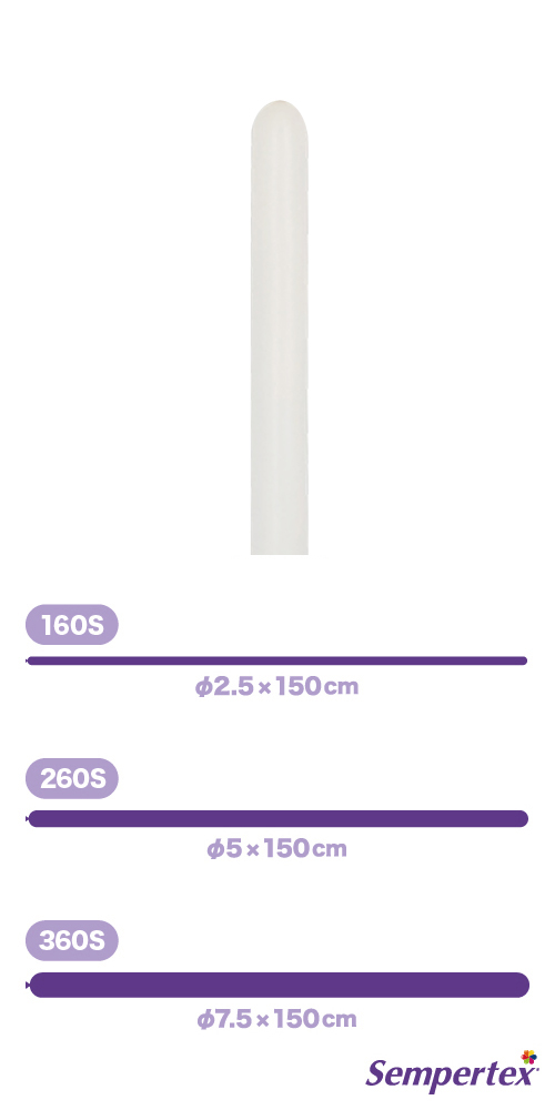 SM160S ѥƥ ꡼ SEM40261