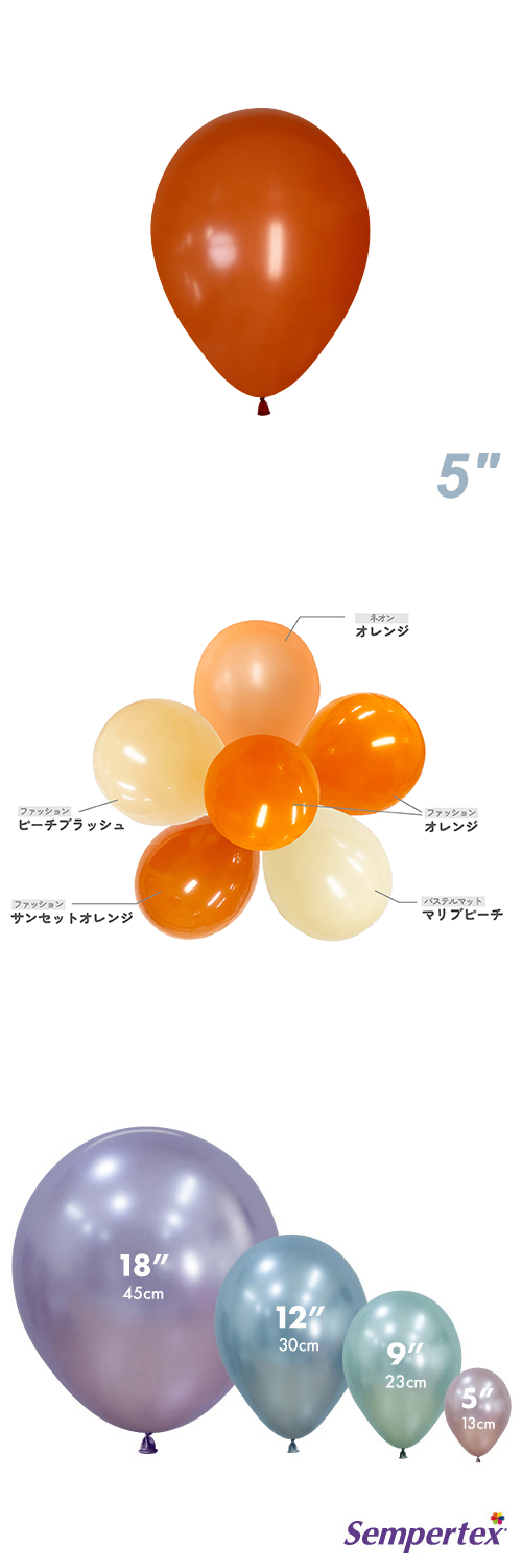 SM5(13cm)ݷ եå 󥻥åȥ SEM40438