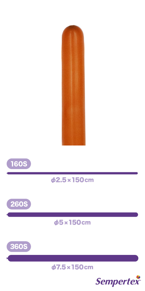 SM260S �ե��å���� ���󥻥åȥ���� SEM40454