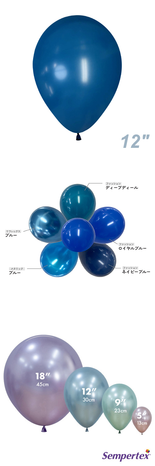 SM12(30cm)ݷ եå ǥץƥ SEM40465