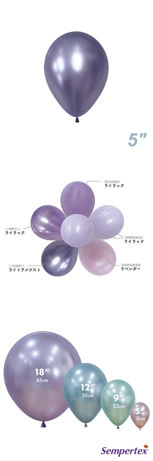 SM5 륯 饤ȥ᥸ SEM40941