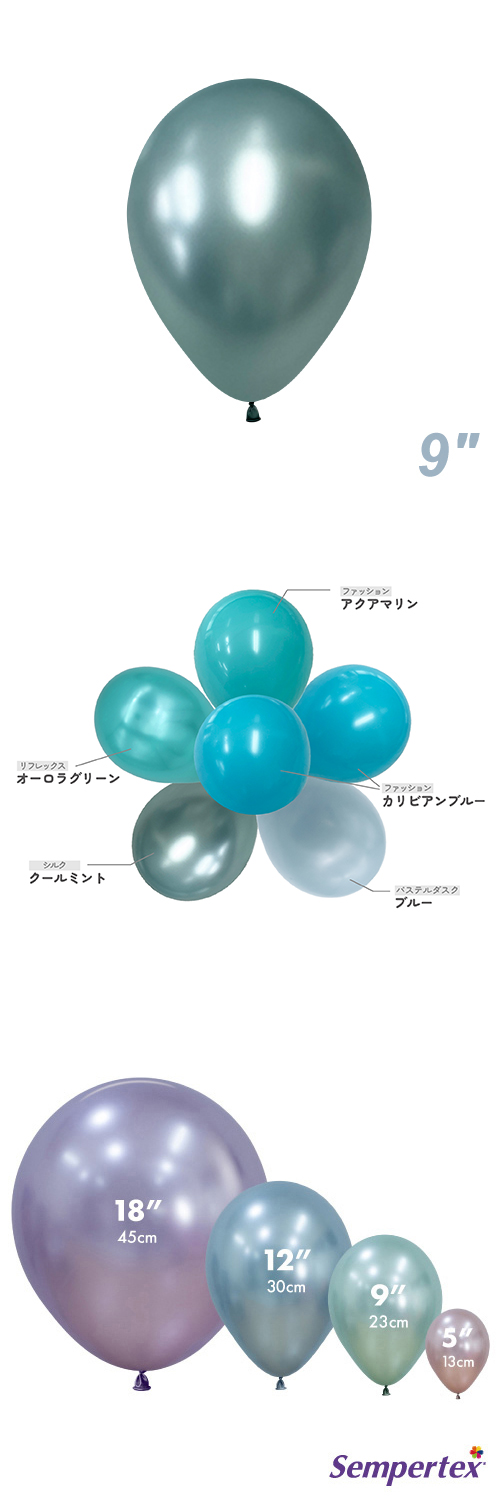 SM9����� ���륯 ������ߥ�� SEM40964