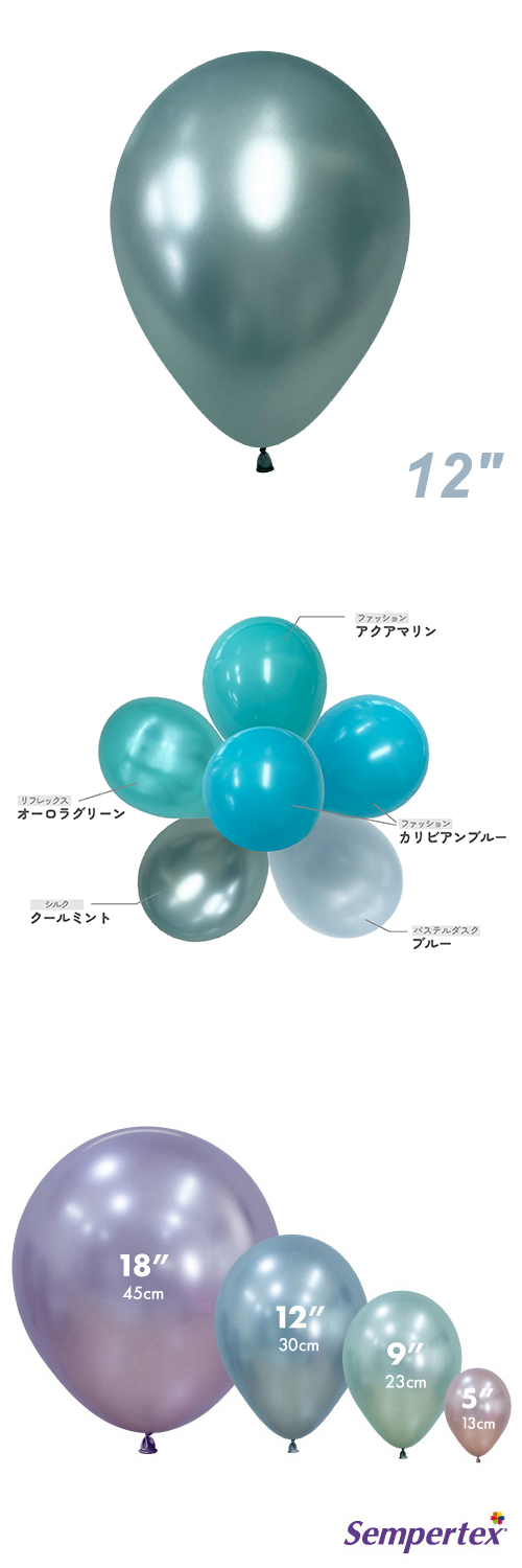 SM12 륯 ߥ SEM40966