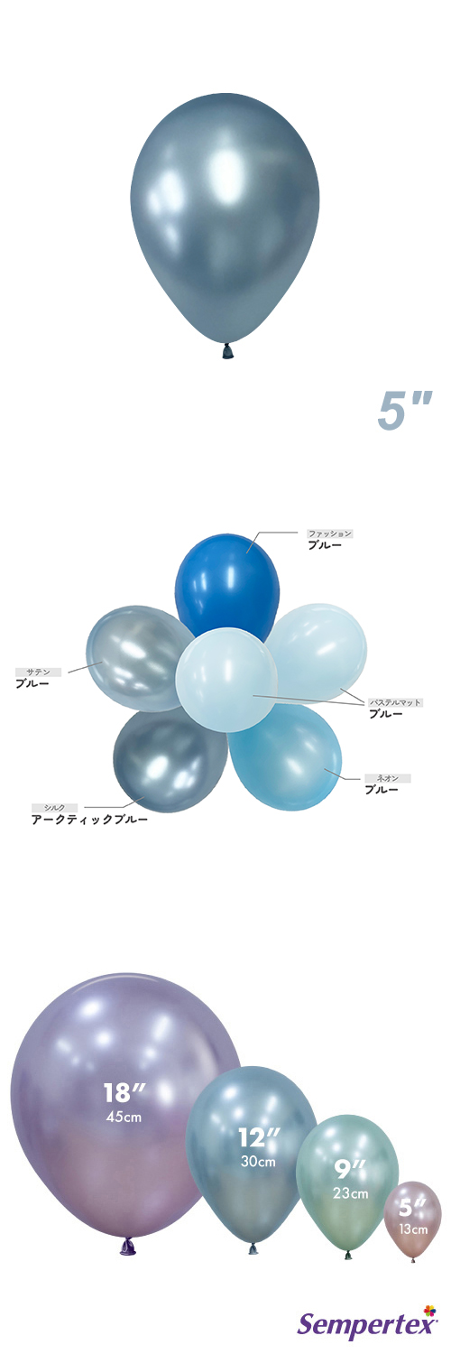 SM5 륯 ƥå֥롼 SEM40979