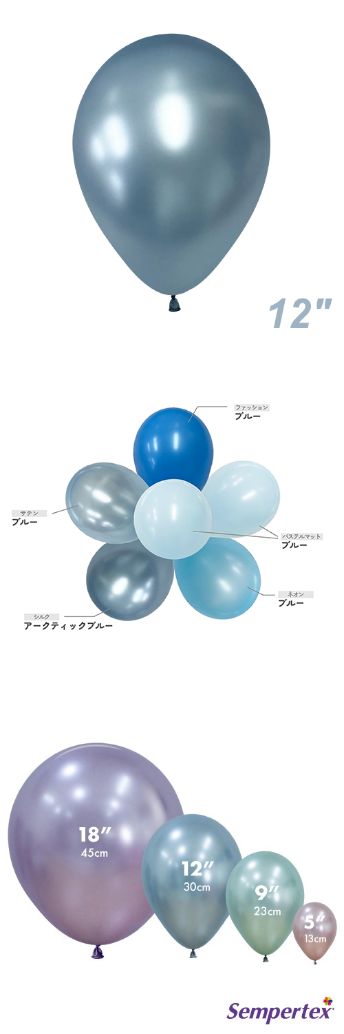 SM12 륯 ƥå֥롼 SEM40985