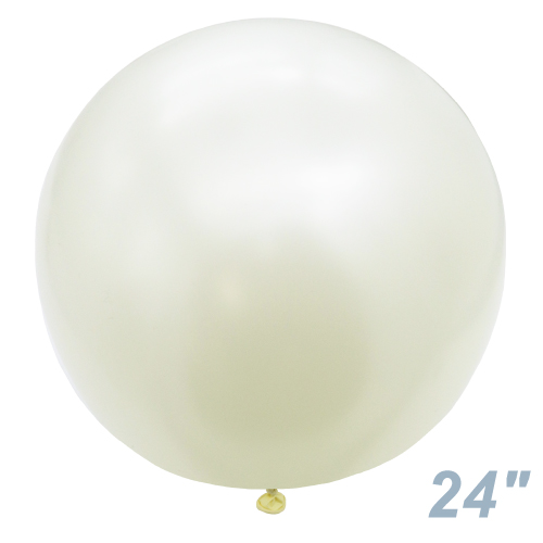 SM24(60)ݷ륯 ۥ磻 SEM41528