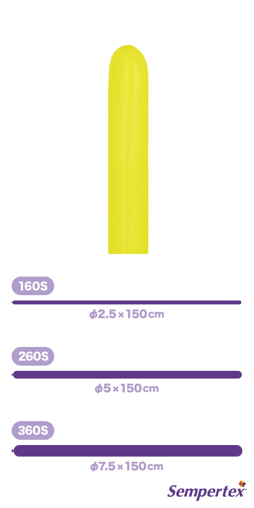SM260S եå  SEM80057