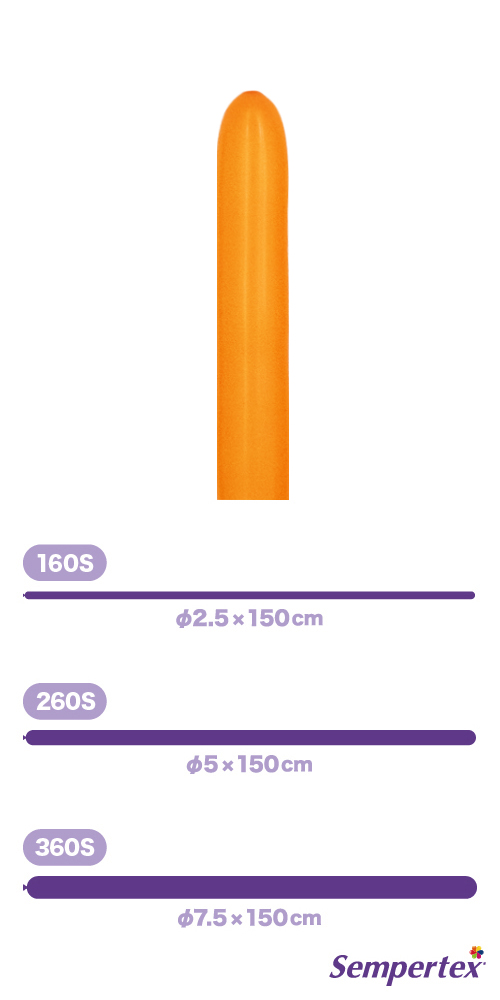 SM260S եå  SEM80137