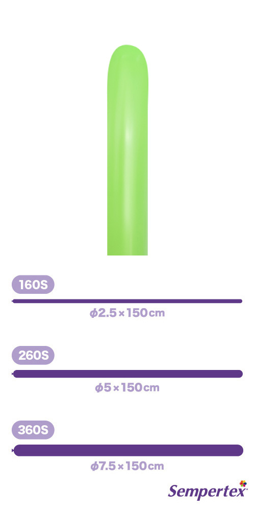 SM260S եå 饤॰꡼ SEM80267