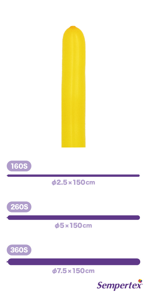 SM260S �ե��å���� �ϥˡ��������� SEM80287