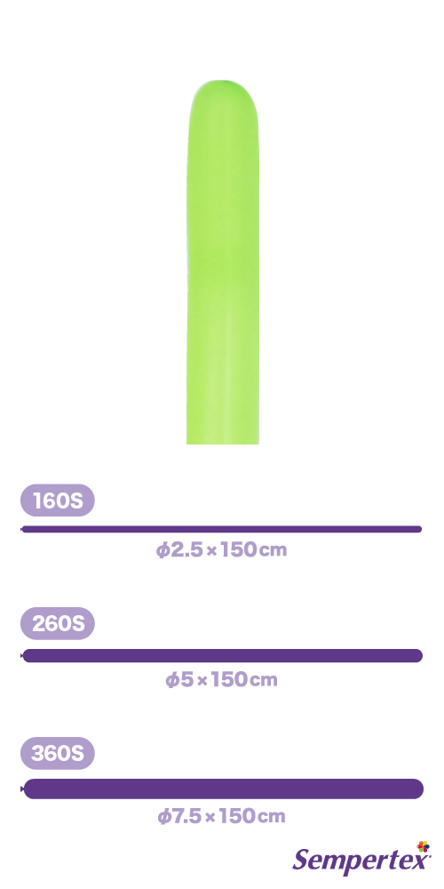 SM260S �ͥ��� ���꡼�� SEM80527